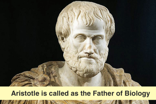 Aristotle is the father of biology